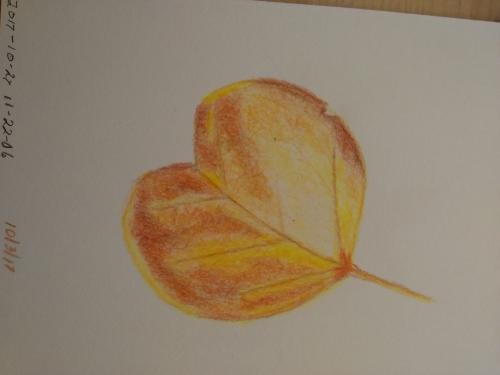 Fall Leaves Gallery